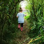 Joy Butcher - @butcher6092 - Instagram