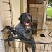 Joy Canady - Facebook