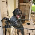 Joy Canady - @joy.canady - Instagram