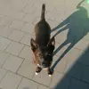 joy_cane - @joy_cane - TikTok
