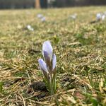 Joy Cantrell - @joy_meets_world - Instagram