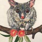 Joy Cassidy - Facebook