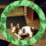 Joy Catron - Facebook