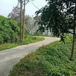 Joy Chacko - @joychacko31977 - Instagram