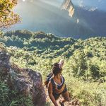 Joy Chambers - @joychambers80 - Instagram