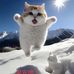 Joye Cheng - Facebook
