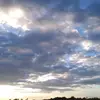 tinetine_143 - @joychico_18 - TikTok