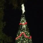 Christmas Instagram - @joy_christmas_ - Instagram