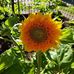 Joy Walters Clausen - Facebook