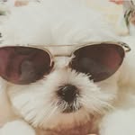 Joy - @joy_comanda - Instagram