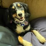 Joy Combs Duddey - @joyduddey - Instagram