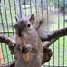 Joy Compton Boutwell - Facebook