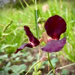 Joy Connell - @joy_connell_photography - Instagram