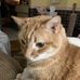 Joy Connell Andrews - Facebook