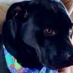 Joy Conrad - @captbruner301 - Instagram