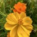 Joy Conrad - Facebook