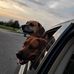 Joy Conrad - Facebook