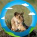 Joy Constantino - Facebook
