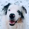 joycecorley - @joycecorley - TikTok