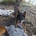 Joy Cornett - Facebook