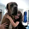 Joy the Corso Mom - @odiebeboops - TikTok