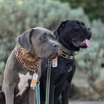 pie & joy corso - @pie_joy_canacorso - Instagram
