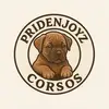 PrideNJoyz Cane Corso - @priden_joyz_corsos - TikTok
