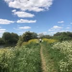 Joy Craddock - @craddockjoy - Instagram