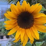 Joy Craddock - @joy.craddock.5 - Instagram