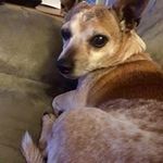 Joy Crenshaw - @crenshawjoy - Instagram