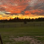Joy Crenshaw - Facebook