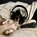 Joy Crews - @crews.joy - Instagram