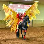 Joy Crowe Burnette - @joycburnette - Instagram