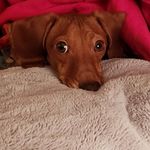 Joy Crowell - @joy.crowell.507 - Instagram