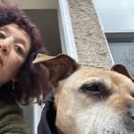 Joy Cutler - @joycu54 - Instagram