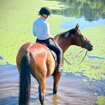Susan Joy Dallas McElheney - @susanjoymc - Instagram
