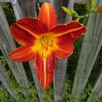 Joy Dawson - @john.dawson52 - Instagram