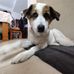 Joy Dawson - Facebook
