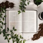 Daily Dose of Joy - @dose_of_joy_devos - Instagram
