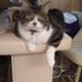 Joyce Dietz - Facebook