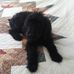 Joy Dillon - Facebook
