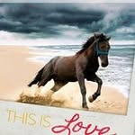 Joyce Dirks - @dirksjoyce - Instagram