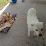 Joy Dotson - Facebook