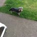 Joy Drayton - Facebook