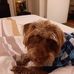 Joyce Driscoll - Facebook