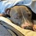 Joyce Driscoll - Facebook