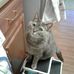 Joy Dunbar - Facebook