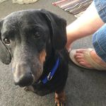Joy Dutcher - @joyalane - Instagram
