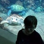 Joy Dyer - @joy.dyer.56 - Instagram