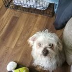 Joy Edmondson  - Facebook
